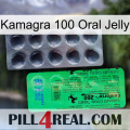 Kamagra 100 Oral Jelly new04